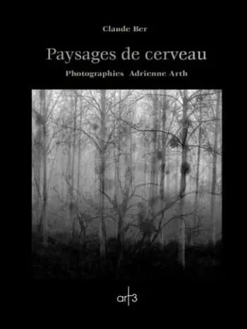 Paysages de cerveau